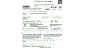 Что такое полис ОСАГО на автомобиль в Miele