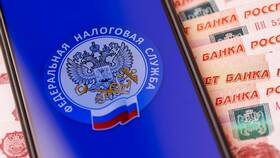 Что значит сальдо единого налогового счета в Miele