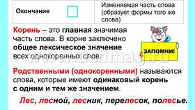 Для чего служат приставка, суффикс и окончание в Miele