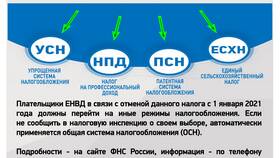 Как налоги связаны с государством в Miele