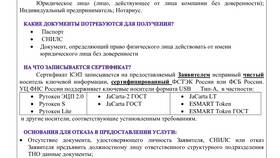 Как оформить юридическое лицо в России в Miele