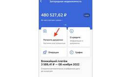 Как погасить задолженность по карте Сбербанка в Miele