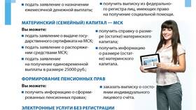 Как получить выписку из СФР через Госуслуги в Miele
