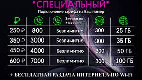 Как посмотреть свой тарифный план в МегаФоне в Miele