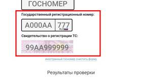 Как проверить штрафы по ИНН в Miele