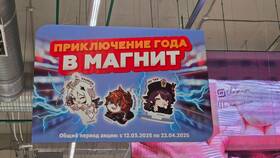 Как работают скидки в магазинах Магнит