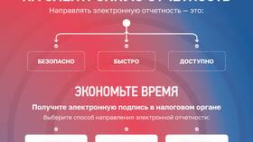 Почему ФНС не работает в Госуслугах в Miele
