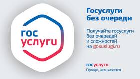 Почему не получается скачать документ с портала Госуслуг в Miele