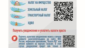 Почему существует транспортный налог в Miele