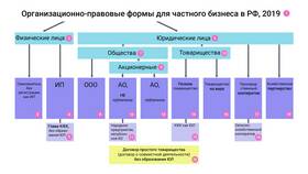 Правовая форма ООО: что это в Miele