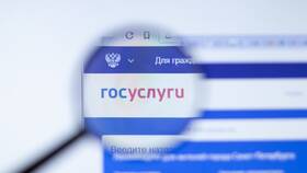 Причины неподтвержденной учетной записи на Госуслугах в Miele