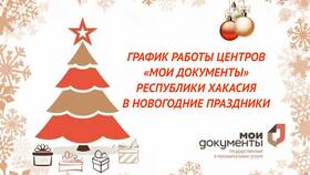 Режим работы МФЦ в праздничный день 13 июня в Miele
