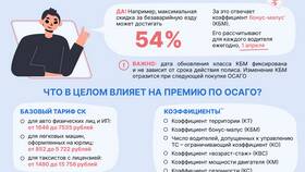 Сегмент ОСАГО: что это такое в Miele