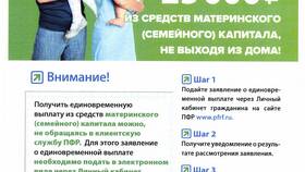 Выкупная сумма пенсионных накоплений: понятие и особенности в Miele